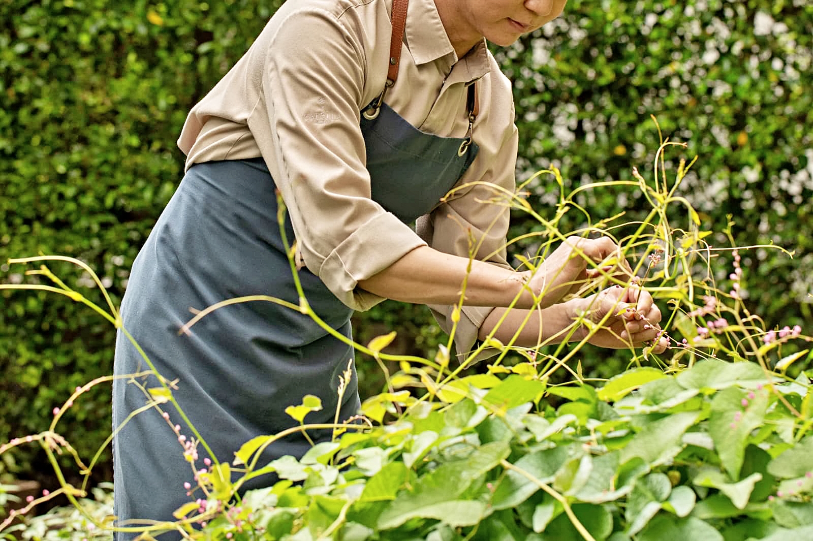 호텔 설명 이미지