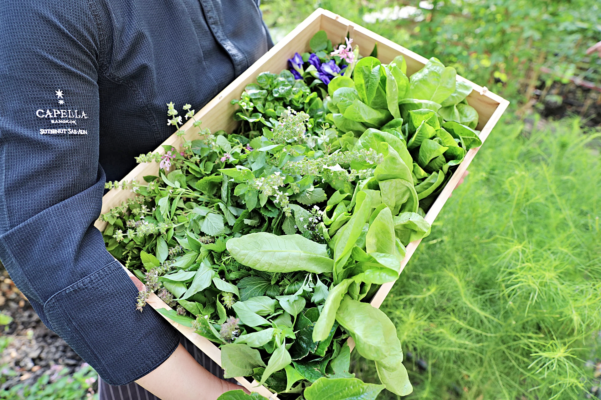 호텔 설명 이미지